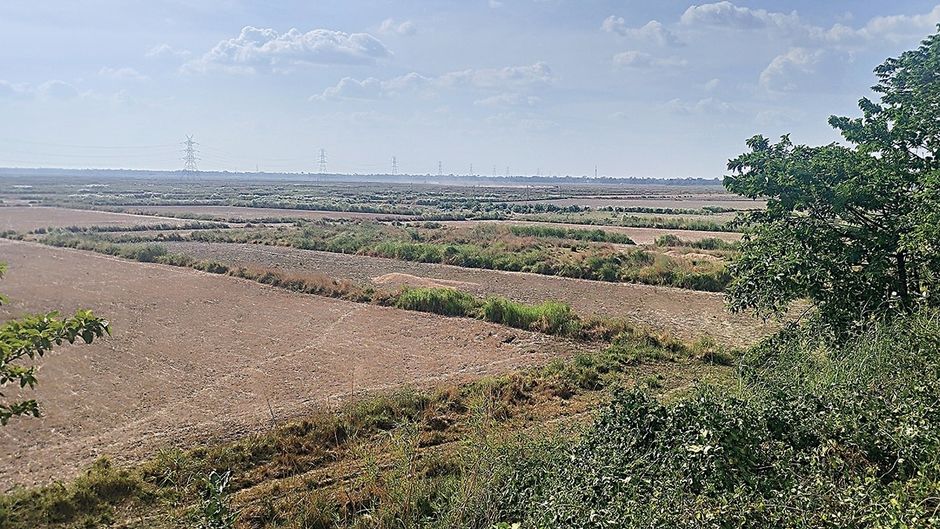 खोजो तो जानें: एम्स दरभंगा को इसी जमीन पर बनाया जाना था