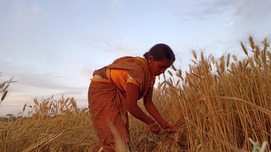 पति का वेतन बढ़ते ही महिलाओं के रोजगार में रहने की संभावनाएं कम: रिपोर्ट