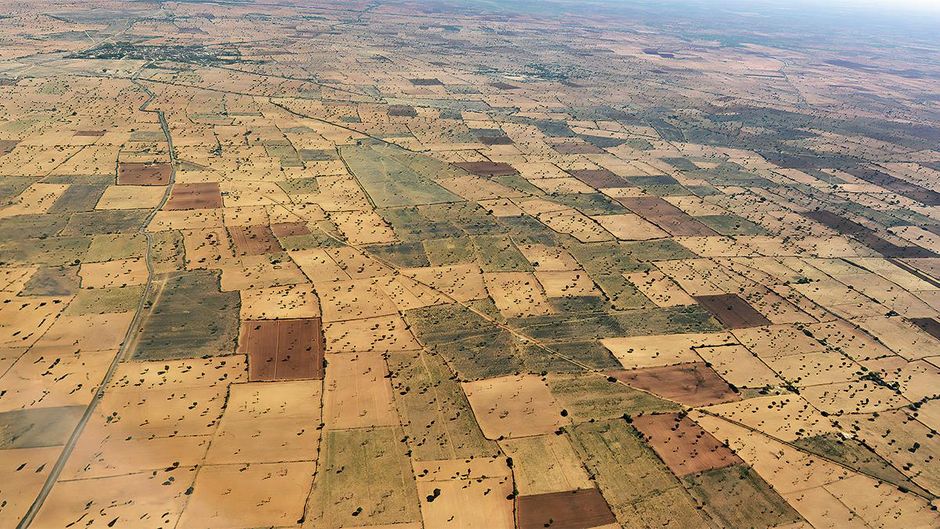 मध्य प्रदेश देश का पहला राज्य है जहां चार जिलों (इंदौर, हरदा, डिंडोरी और सागर) में साइबर तहसील शुरू की गई है