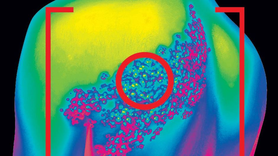 इलस्ट्रेशन: तन्मय चक्रवर्ती