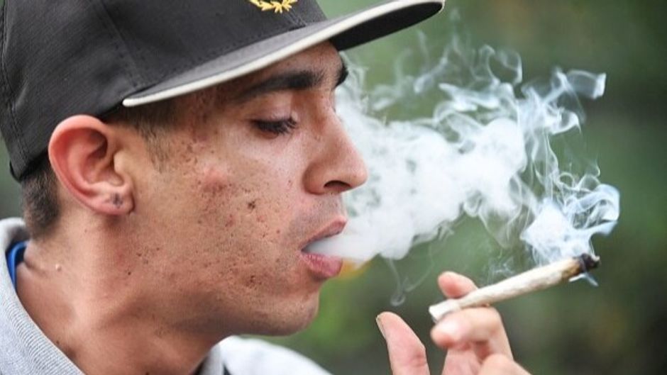 क्या गांजा वाकई हमारे शरीर पर सही असर डालता है?