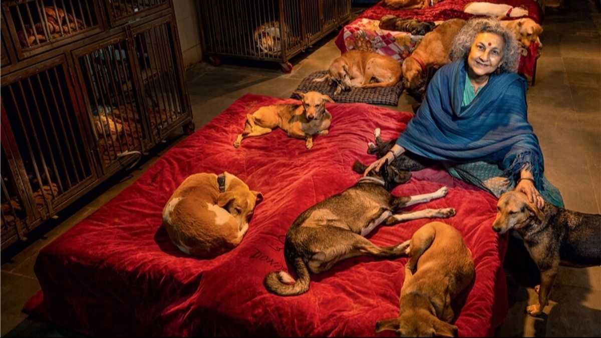 गीता शेषमणि, सह-संस्थापक, फ्रेंडिकोज एसईसीए और वाइल्डलाइफ एसओएस