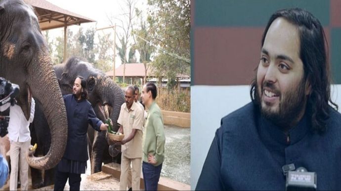 वनतारा प्रोजेक्ट अनंत अंबानी की देखरेख में विकसित किया जा रहा है