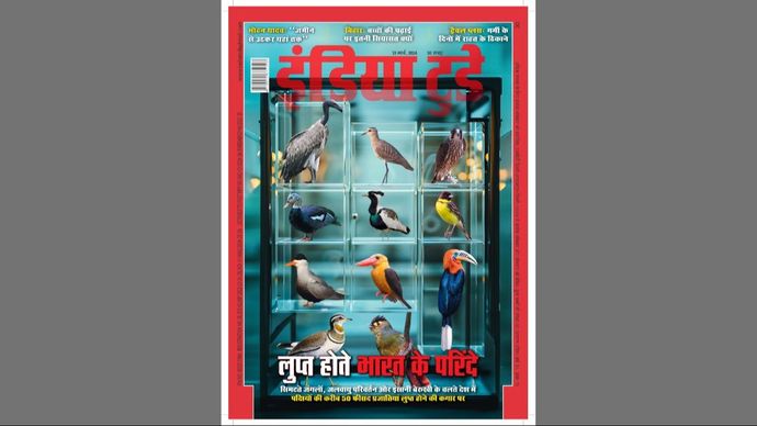 इंडिया टुडे कवर: लुप्त होते भारत के परिंदे