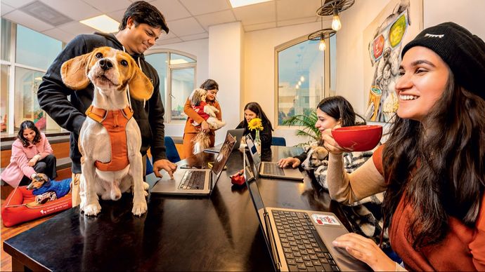 हेड्स अप फॉर टेल्स नामक पेटकेयर चेन ने अपने कर्मचारियों को पालतू पशु को ऑफिस में लाने की छूट दी है