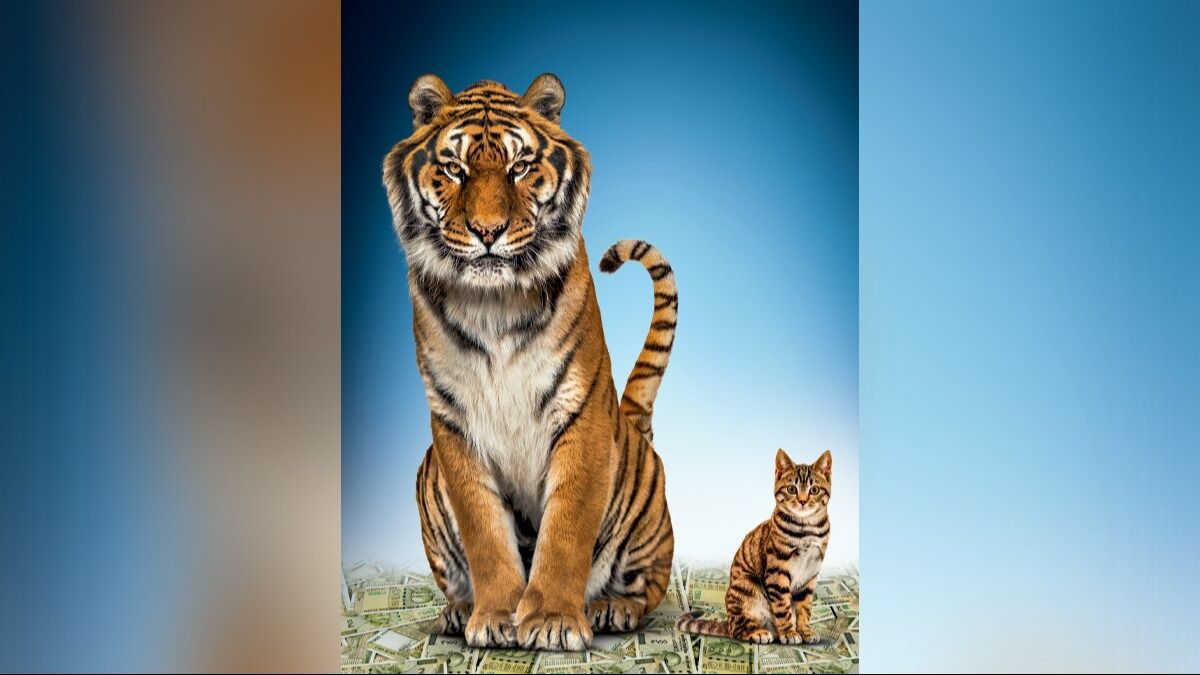 मोदी का अर्थशास्त्र: कामयाबी और नाकामियां