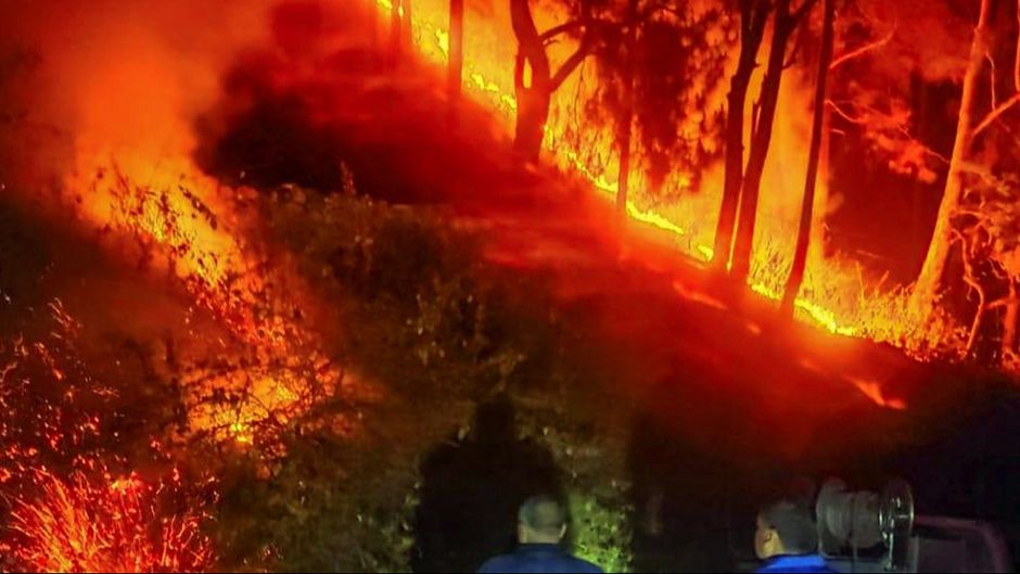 उत्तराखंड के जंगलों में लगी आग पर सुप्रीम कोर्ट में भी सुनवाई हुई