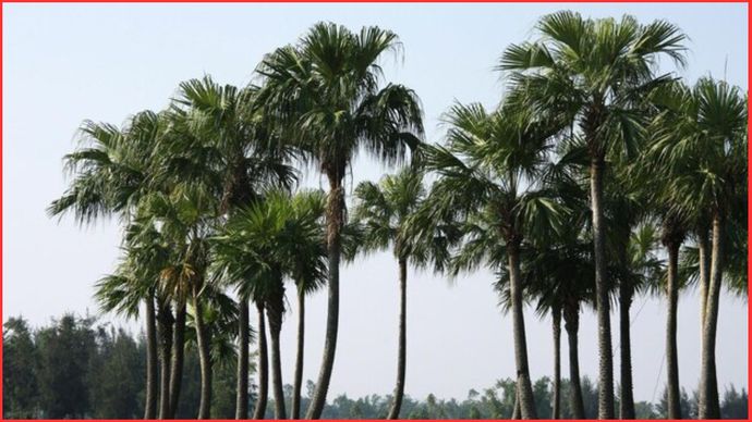 सांकेतिक तस्वीर