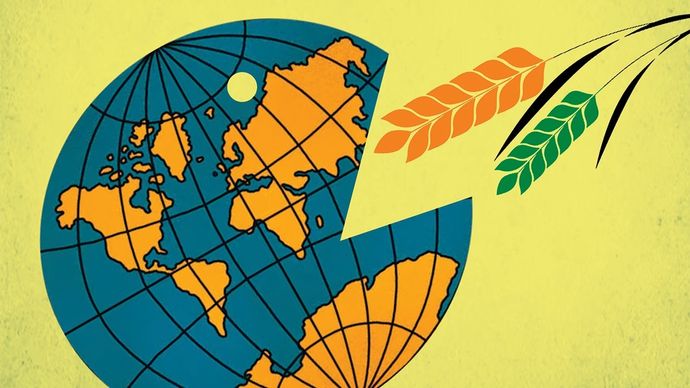 इलस्ट्रेशन: नीलांजन दास