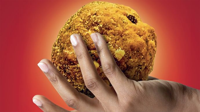 तिरुपति लड्डू विवाद/सांकेतिक तस्वीर