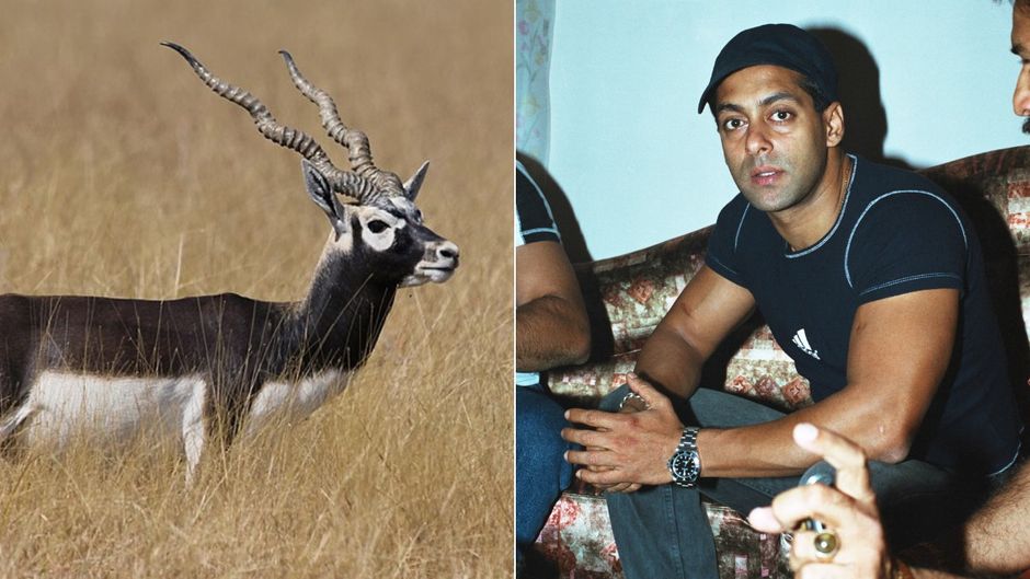 काले हिरण शिकार मामले में सलमान को लॉरेंस बिश्नोई गैंग से लगातार धमकियां मिल रही हैं