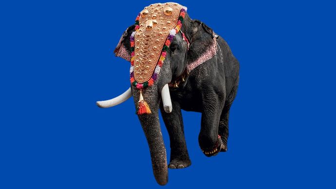 फोटो-इलस्ट्रेशन : नीलांजन दास