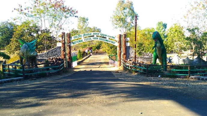 राष्ट्रीय जीवाश्म उद्यान, घुघुवा