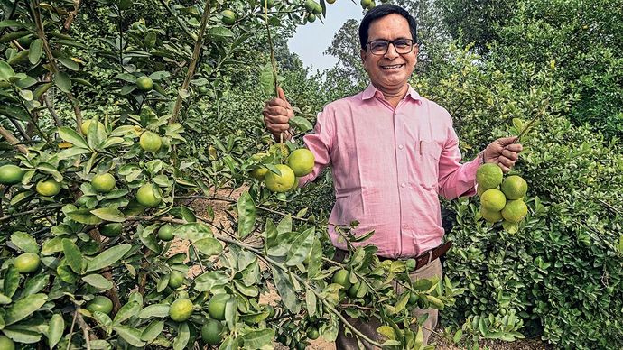 आनंद मिश्र, रायबरेली