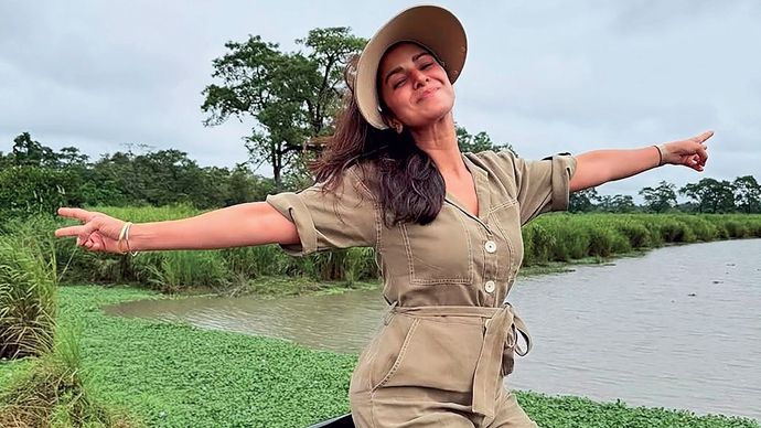 निमरत कौर, अभिनेत्री