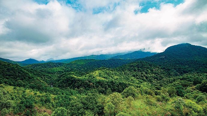 केरल के पलक्कड़ जिले में साइलेंट वैली का एक मंजर