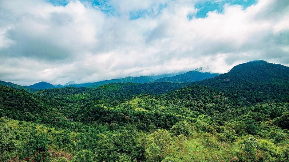 केरल के पलक्कड़ जिले में साइलेंट वैली का एक मंजर