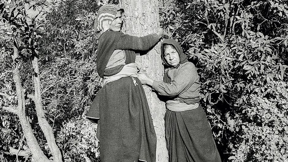 उत्तराखंड के चमोली जिले में पेड़ को गले लगातीं कार्यकर्ता, 1982