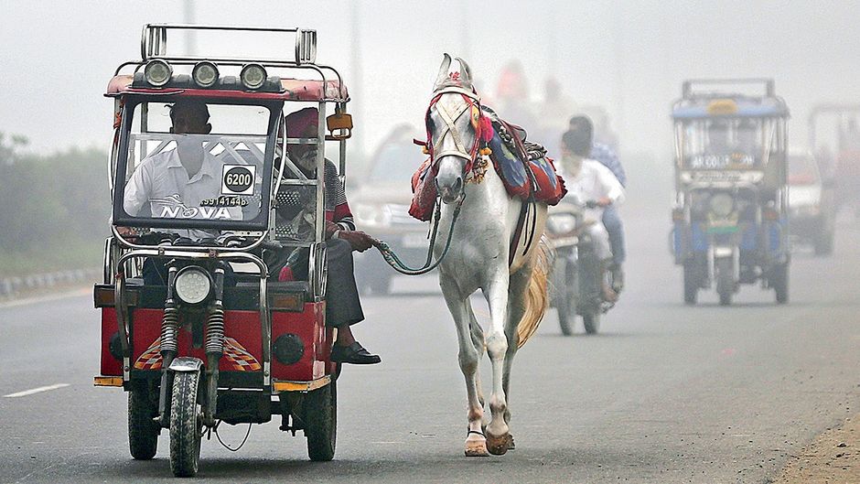 75 Years of the Republic-E-rickshaw