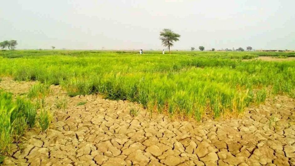 बढ़ते तापमान से फसलों पर मंडराया खतरा