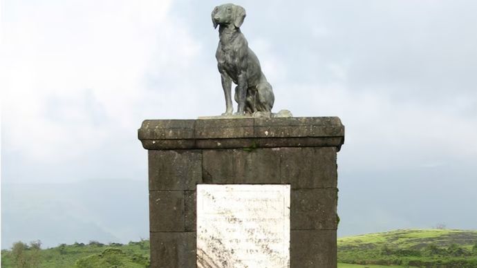 रायगढ़ किले में शिवाजी के पालतू कुत्ते 'वाघ्या' की प्रतिमा