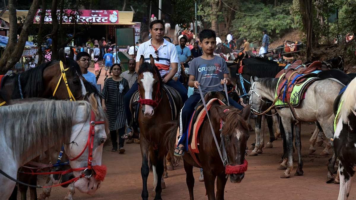 फोटो : मिलिंद शेल्ते