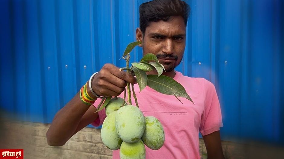 Digha Maldah Mango (Photo : Pushyamitra)