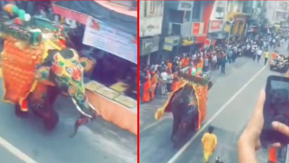 जगन्नाथ यात्रा में हाथी हुआ बेकाबू  