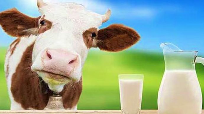 ट्रेड डील में बाधा बना अमेरिकी दूध
