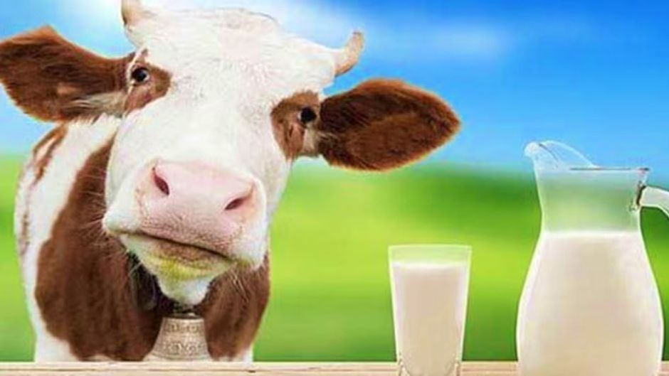 ट्रेड डील में बाधा बना अमेरिकी दूध