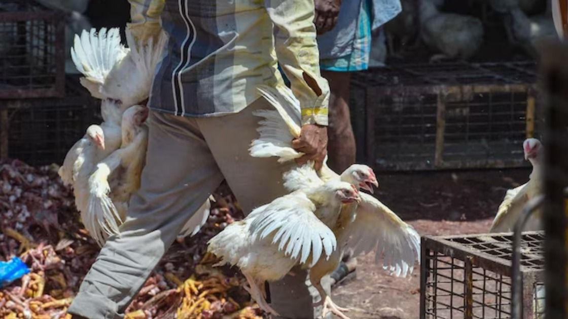 सांकेतिक तस्वीर