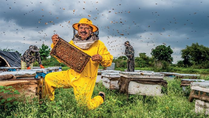 78 Years of independence the micromoguls