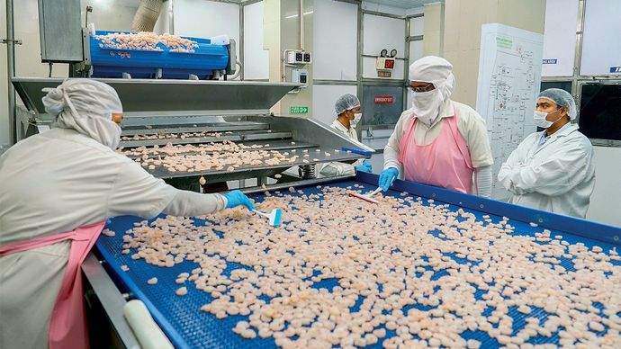 victims of trump tariffs seafood