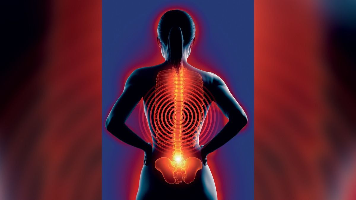 cover story  Backache 