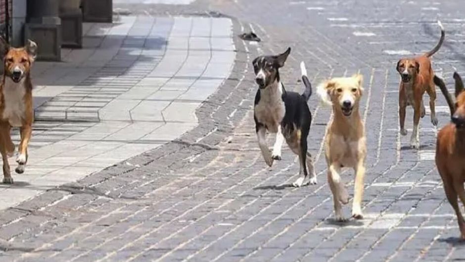 सांकेतिक तस्वीर