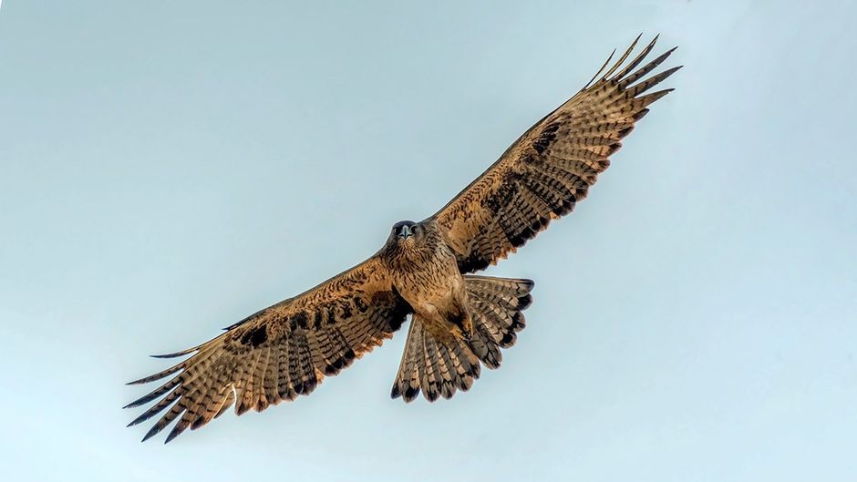 सांकेतिक तस्वीर