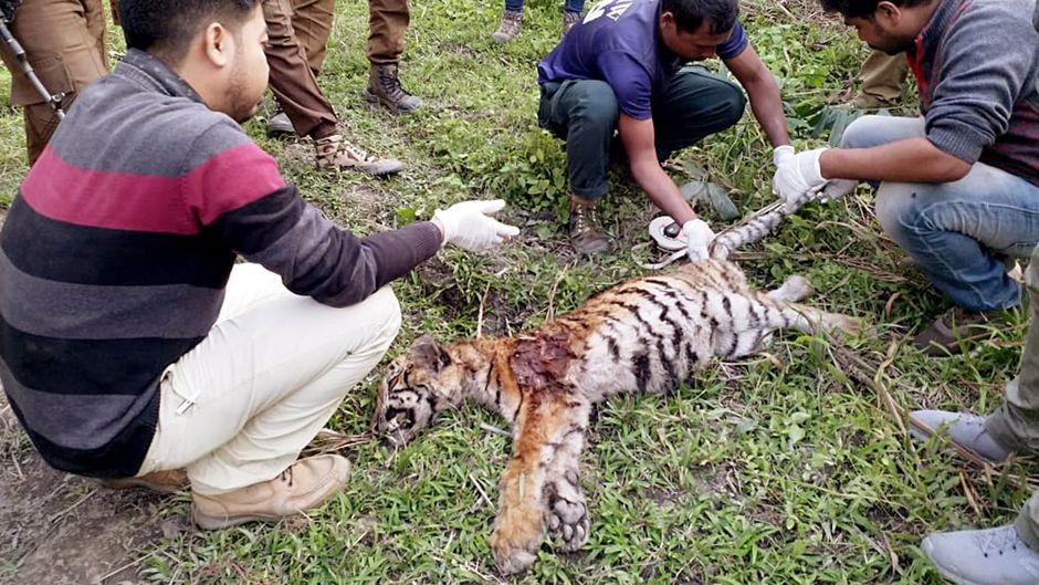 सांकेतिक तस्वीर