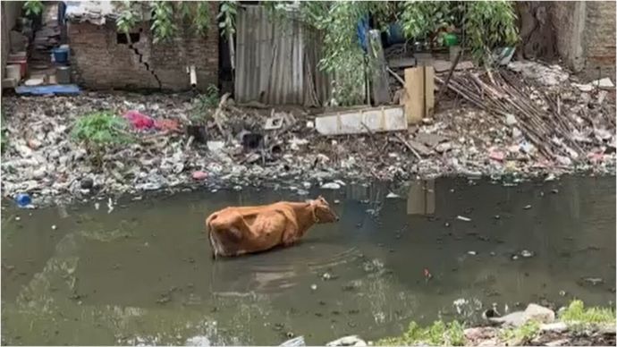 नंगल नहर में कचरे ने मचाया हाहाकार (सांकेतिक फोटो)