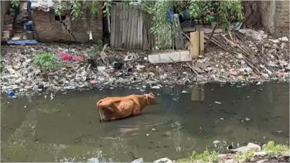 नंगल नहर में कचरे ने मचाया हाहाकार (सांकेतिक फोटो)