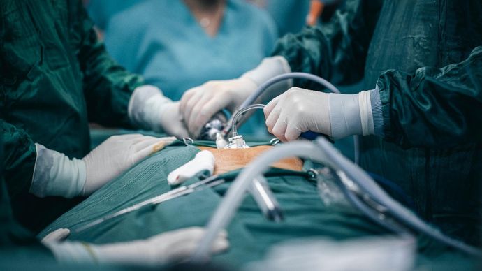 Florida doctor arrested