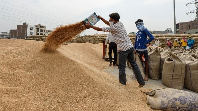 मध्य प्रदेश में गेहूं खरीद तेज