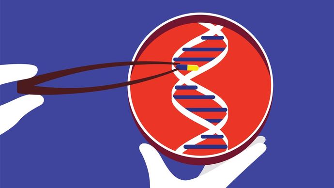Health: Sehat Precision Medicine