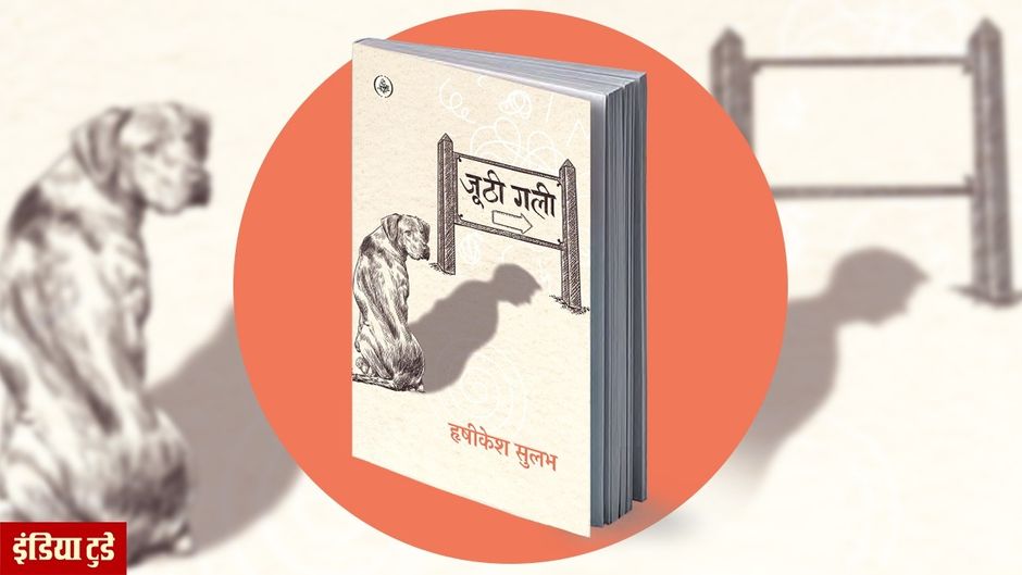 जूठी गली पुस्तक का कवर