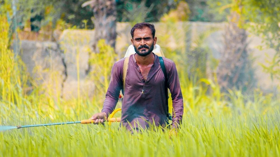 सांकेतिक तस्वीर
