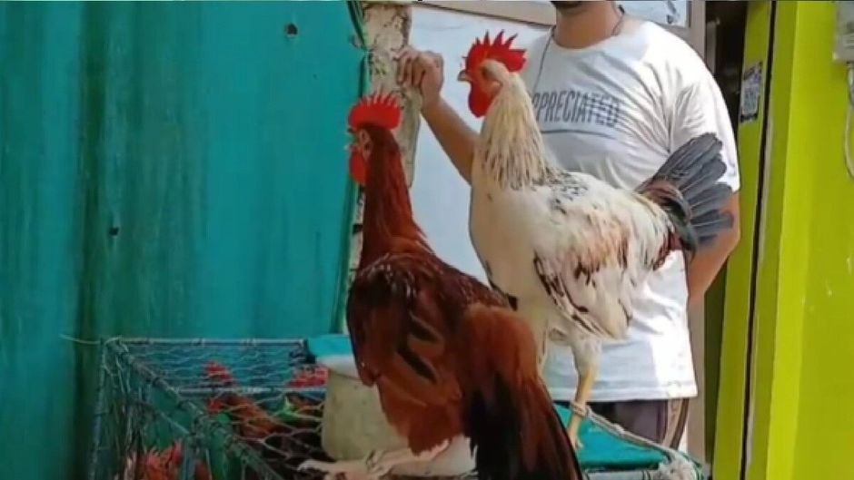 chicken shop