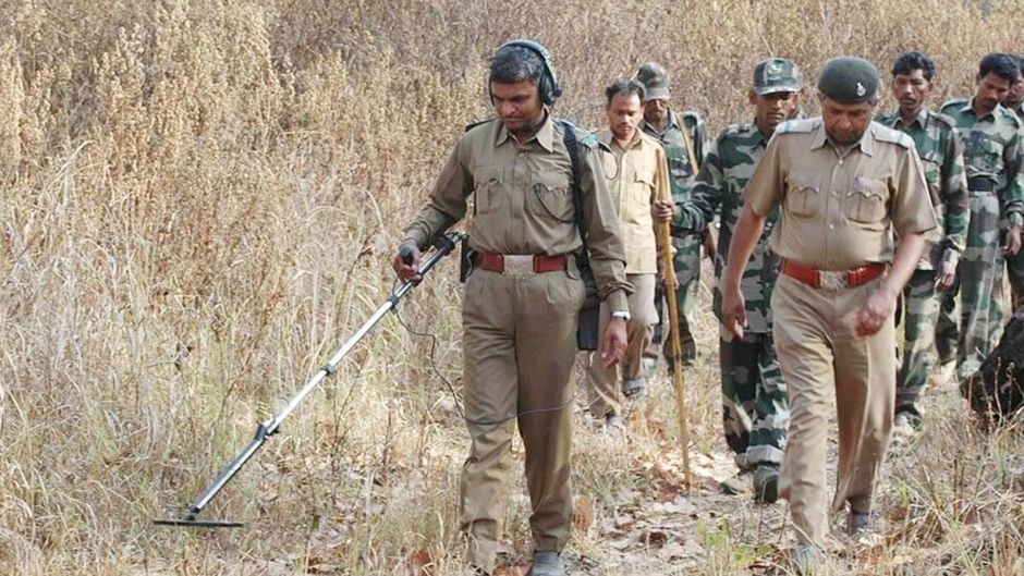 जिस इलाके में शव मिला है, वहां बाघ की आवाजाही है. (File Photo:KNP)