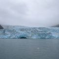 अलास्का : जहां पृथ्वी अपनी आदिम लय में सांस लेती है glacier