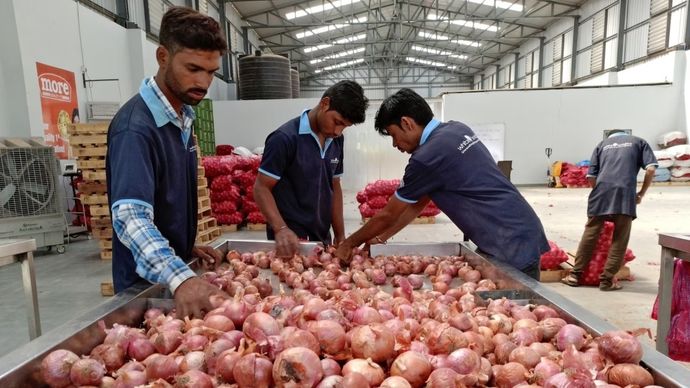 govt sold onion at Rs. 35/kg at NAFED, NCCF and Kendriye Bhandar stores.