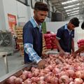 चीनी के बाद प्याज की कीमतों ने निकाले आंसू, क्या है वजह? प्याज के दाम 60-70 रुपए किलो तक पहुंच गए हैं