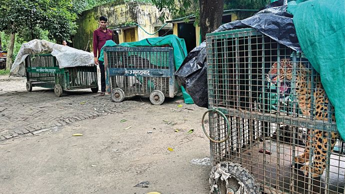 Uttar Pradesh: Wildlife